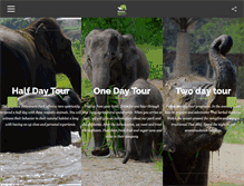 Tablet Screenshot of elephantretirementpark.com